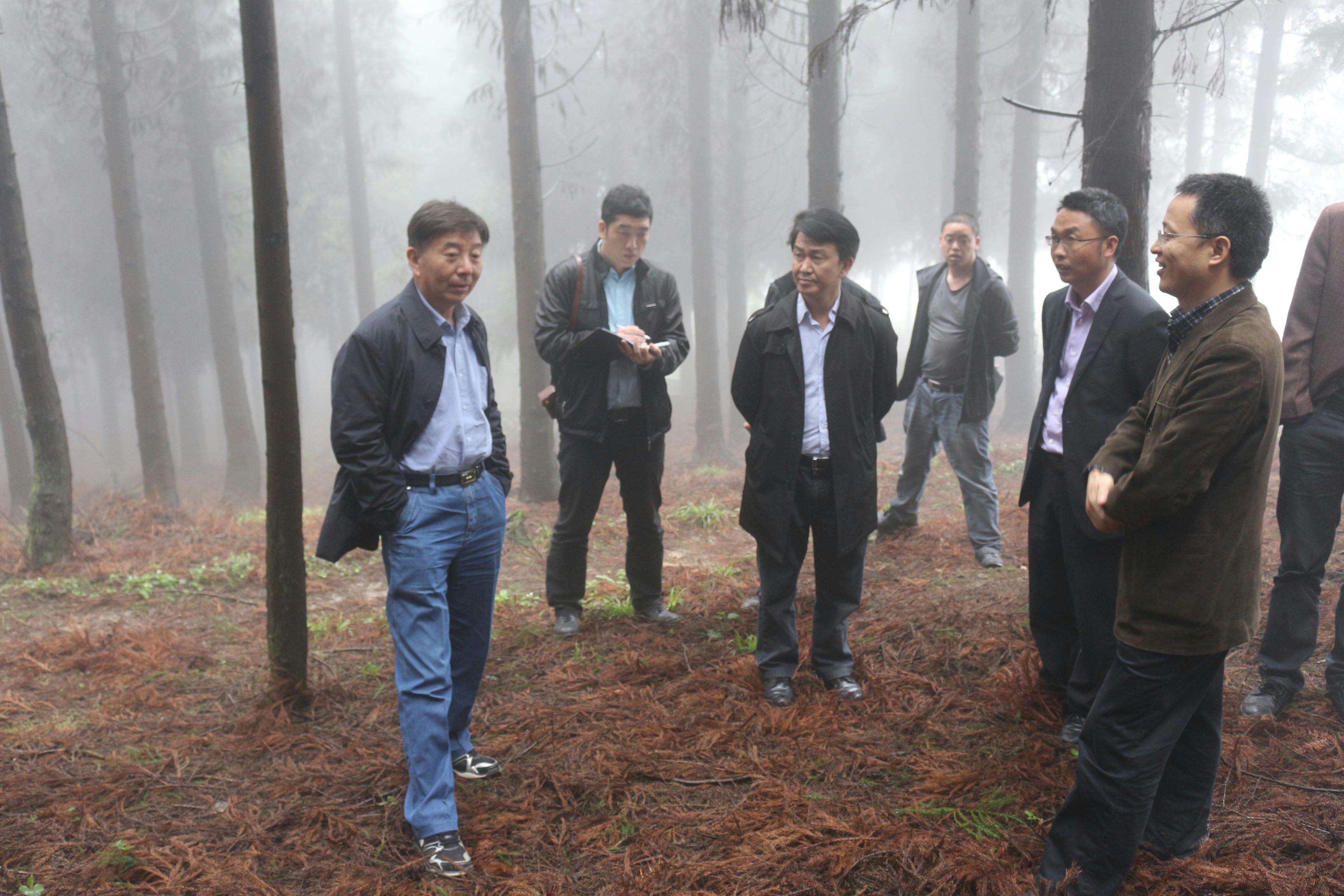 国家林业局到我场调研